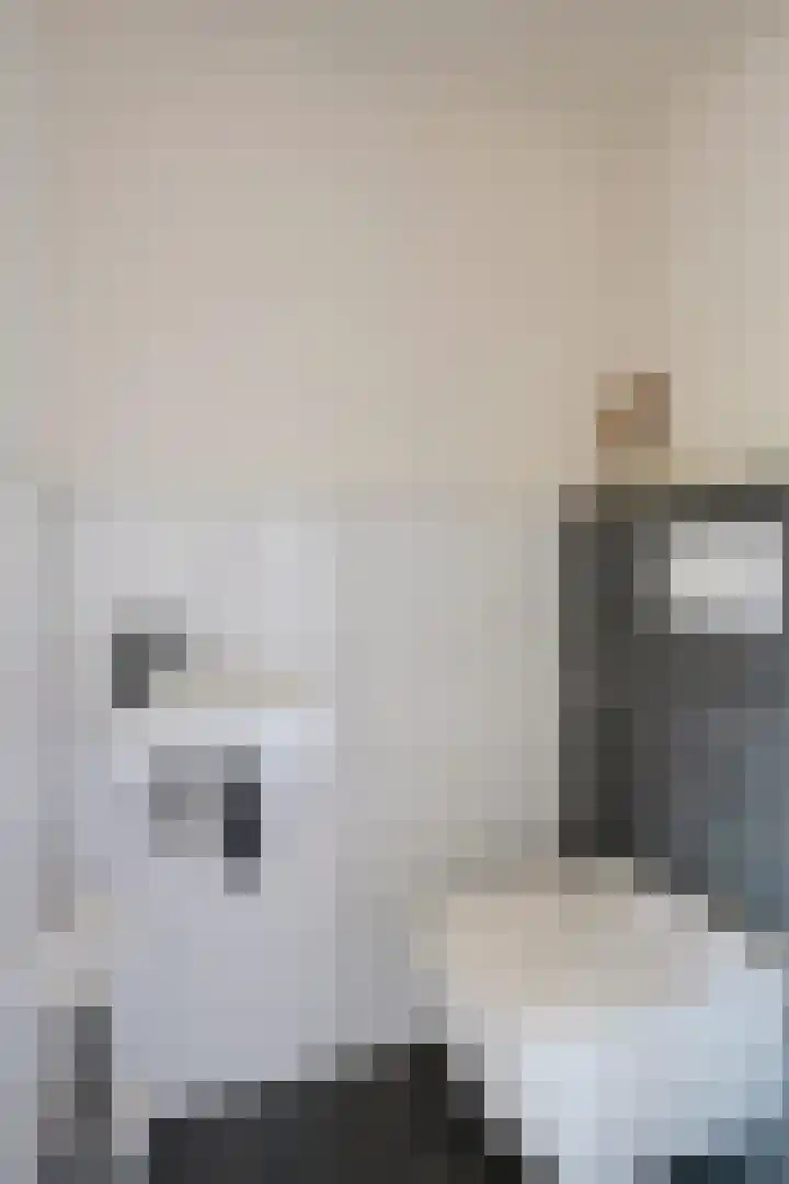 Longkrûdstrjitte 3 Koarnjum thumbnail 10