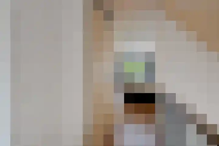 Longkrûdstrjitte 3 Koarnjum thumbnail 15
