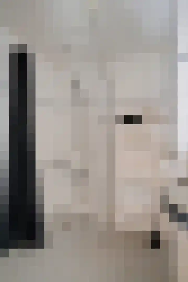 Longkrûdstrjitte 3 Koarnjum thumbnail 21