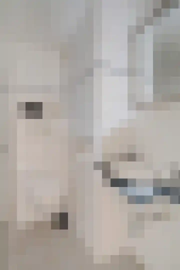 Longkrûdstrjitte 3 Koarnjum thumbnail 22