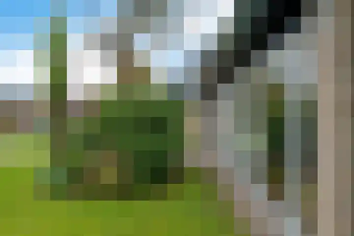 Longkrûdstrjitte 3 Koarnjum thumbnail 26