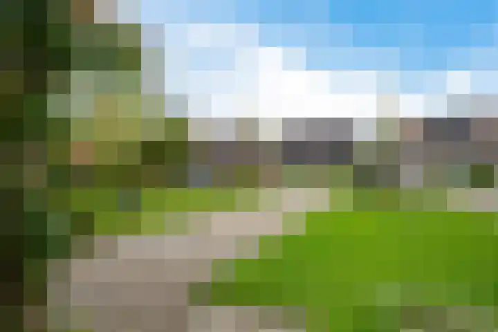 Longkrûdstrjitte 3 Koarnjum thumbnail 27