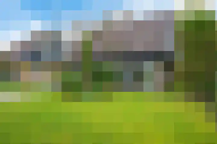 Longkrûdstrjitte 3 Koarnjum thumbnail 28