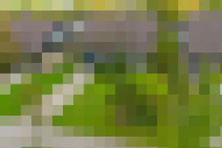 Longkrûdstrjitte 3 Koarnjum thumbnail 32