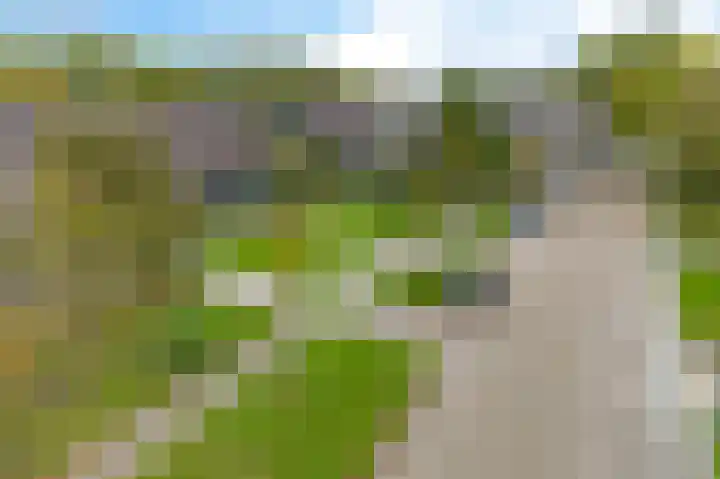 Longkrûdstrjitte 3 Koarnjum thumbnail 33