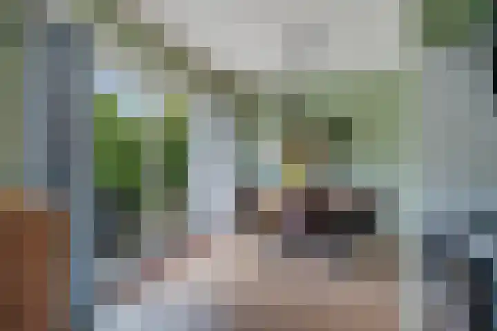 Longkrûdstrjitte 3 Koarnjum thumbnail 5