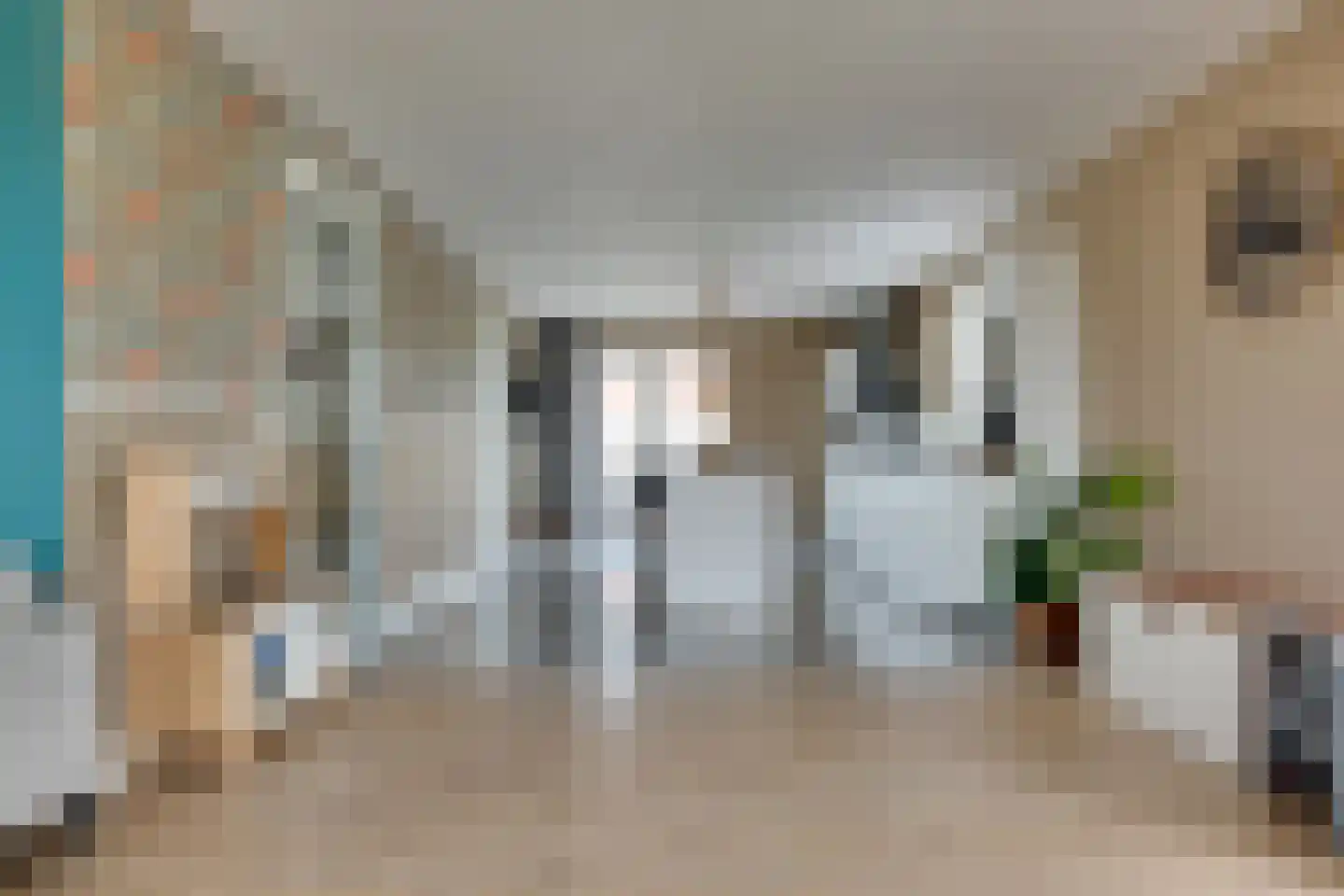 Longkruid 16 Leek thumbnail 10