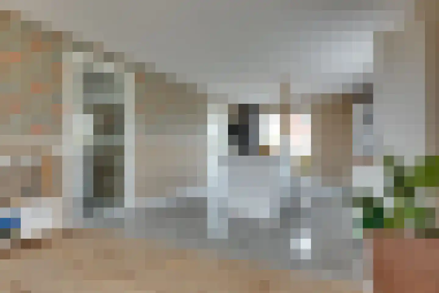 Longkruid 16 Leek thumbnail 11