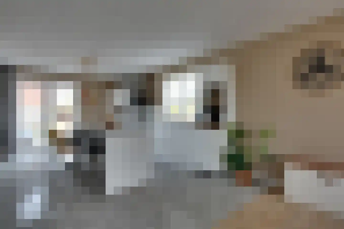 Longkruid 16 Leek thumbnail 14