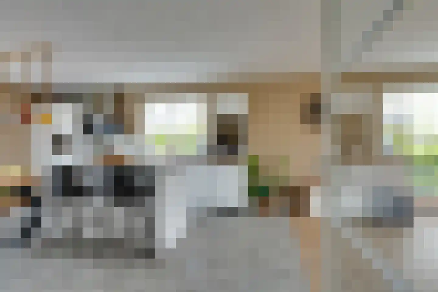 Longkruid 16 Leek thumbnail 19