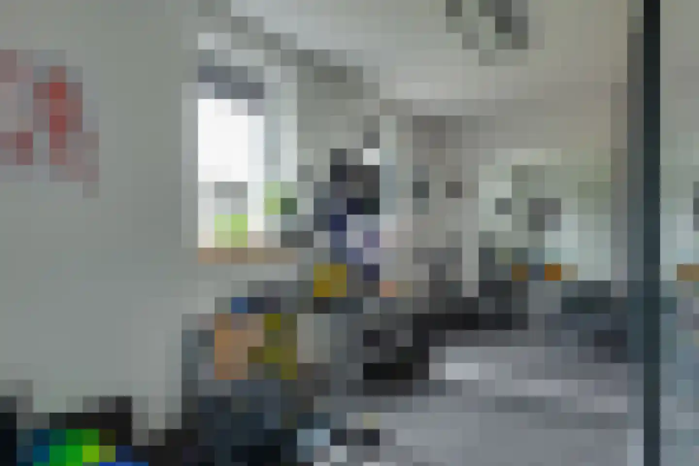 Longkruid 16 Leek thumbnail 26