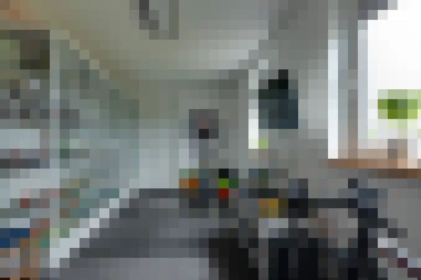 Longkruid 16 Leek thumbnail 28