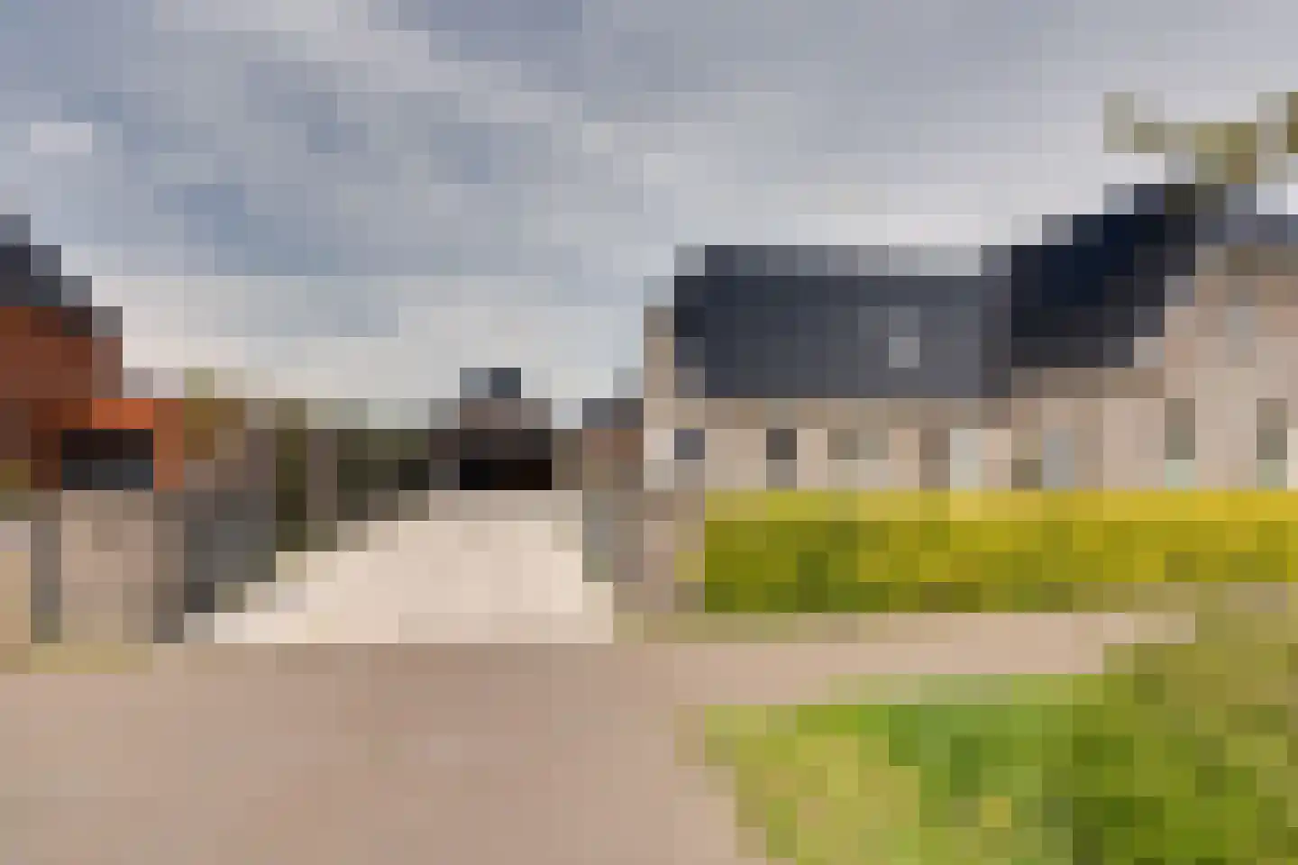 Longkruid 16 Leek thumbnail 4