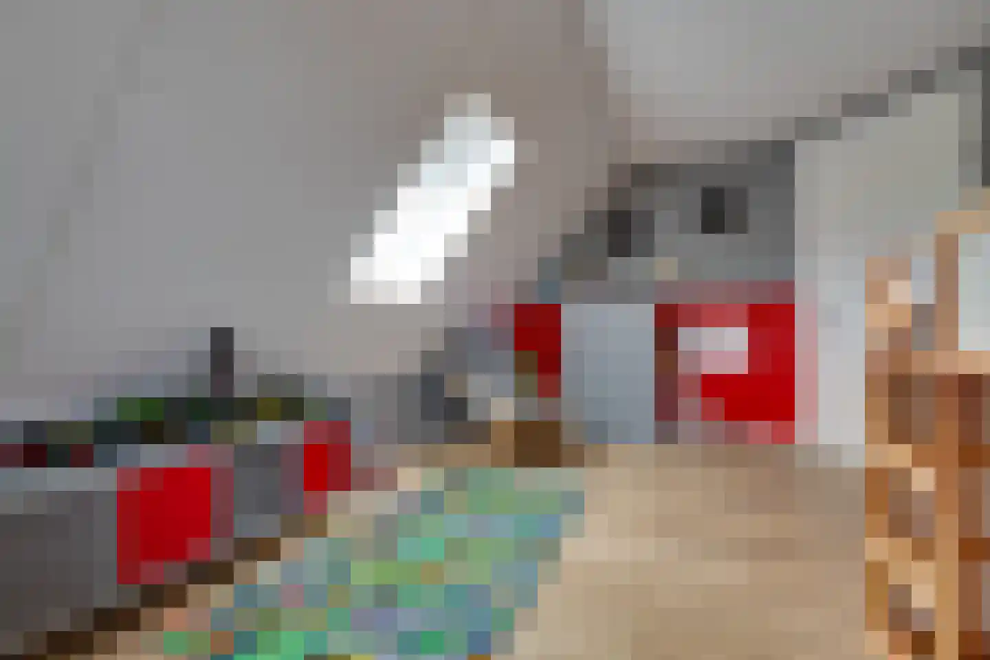 Longkruid 16 Leek thumbnail 41