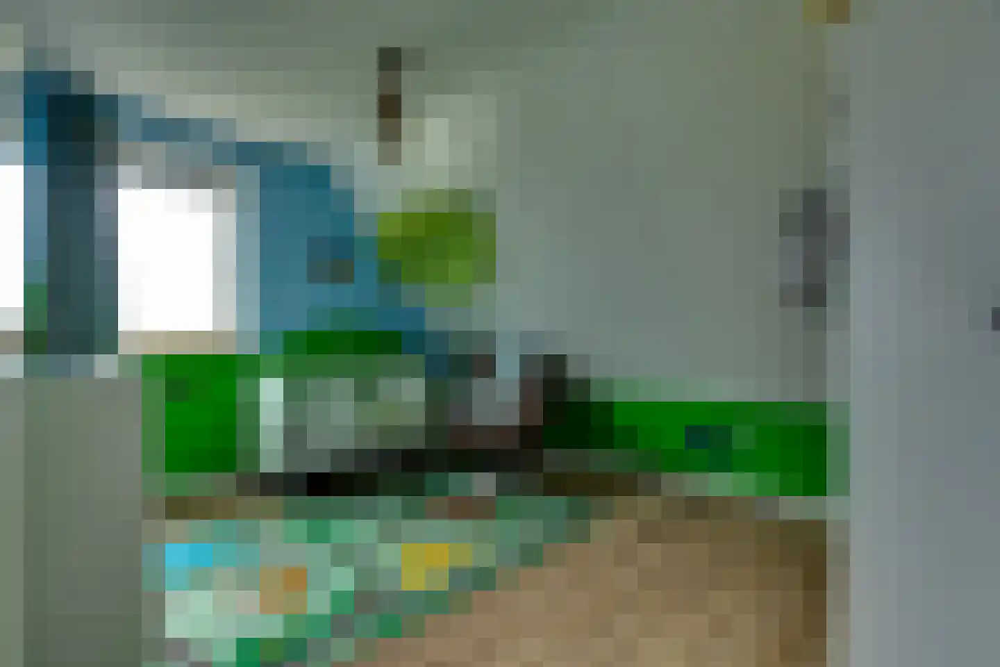 Longkruid 16 Leek thumbnail 42
