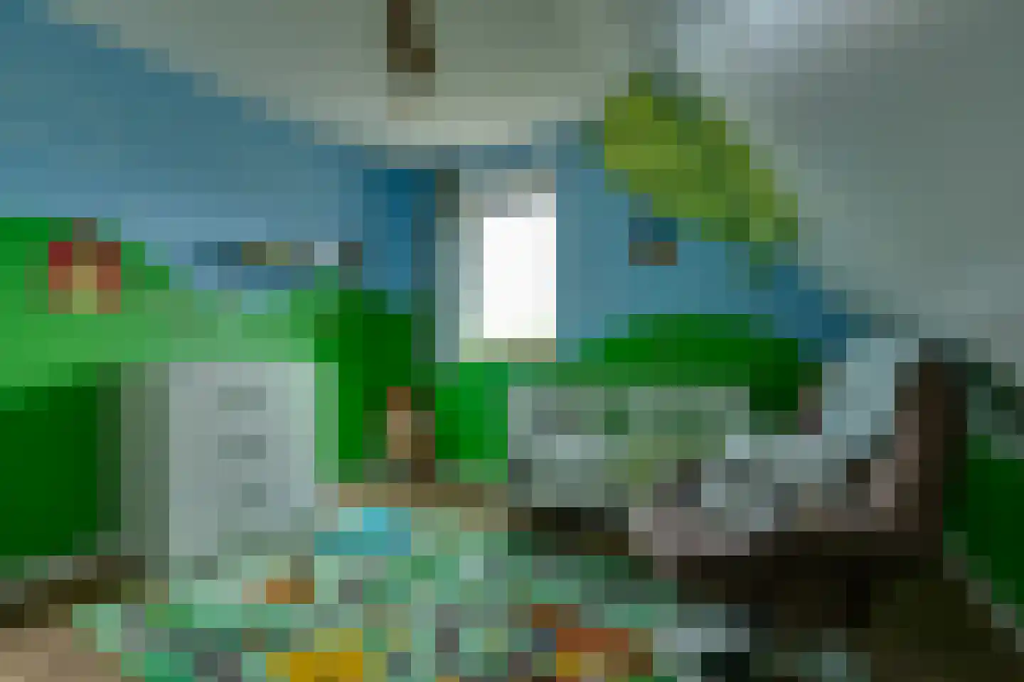 Longkruid 16 Leek thumbnail 43