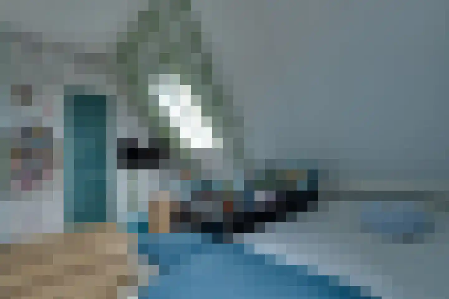 Longkruid 16 Leek thumbnail 46