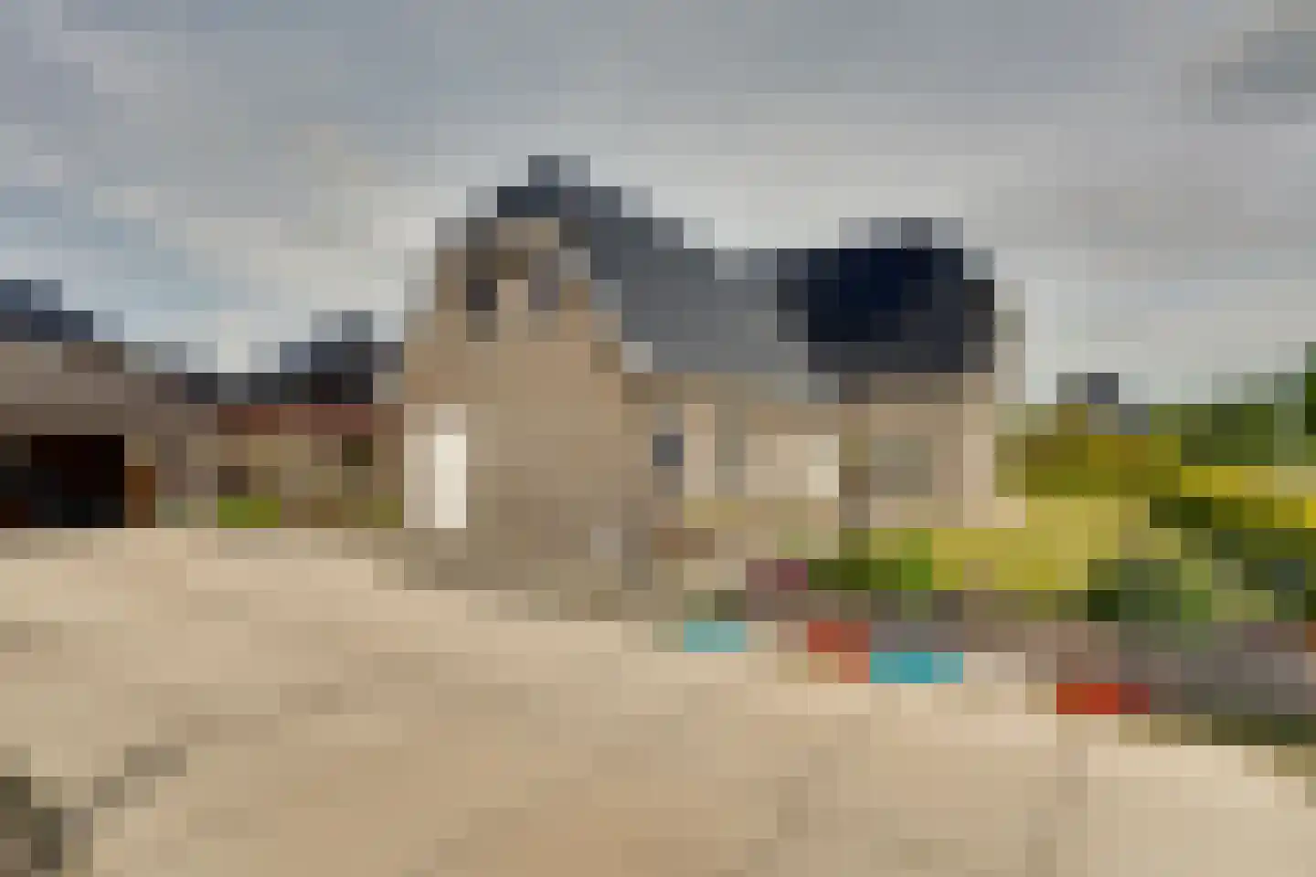 Longkruid 16 Leek thumbnail 5