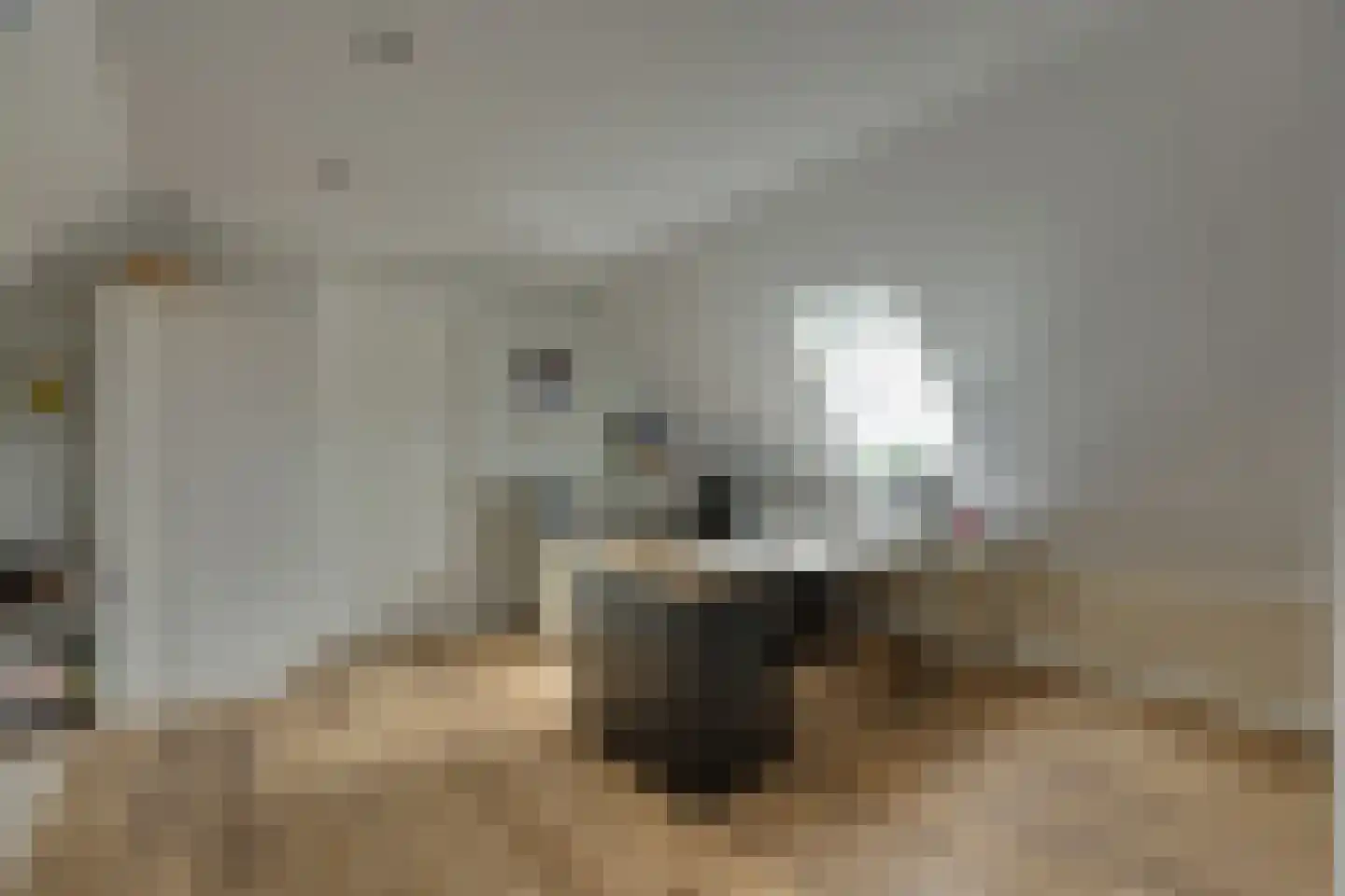 Longkruid 16 Leek thumbnail 51