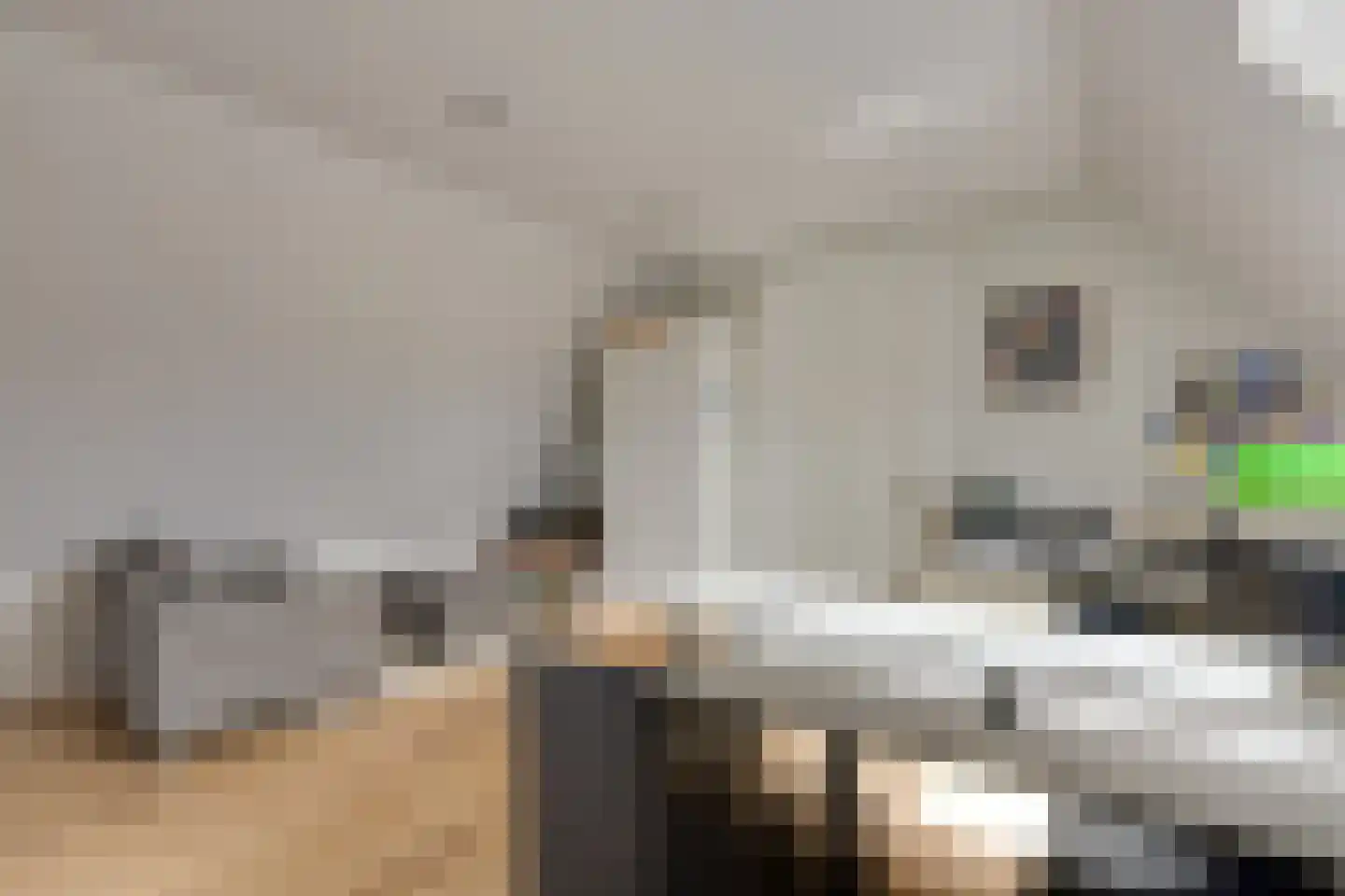 Longkruid 16 Leek thumbnail 52