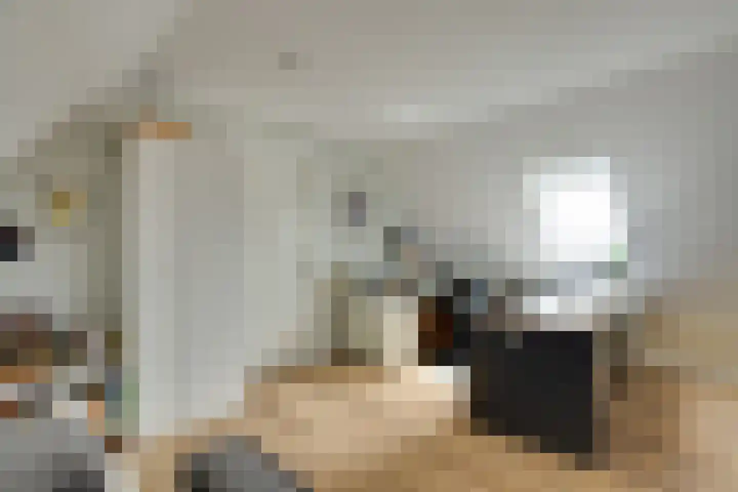 Longkruid 16 Leek thumbnail 53