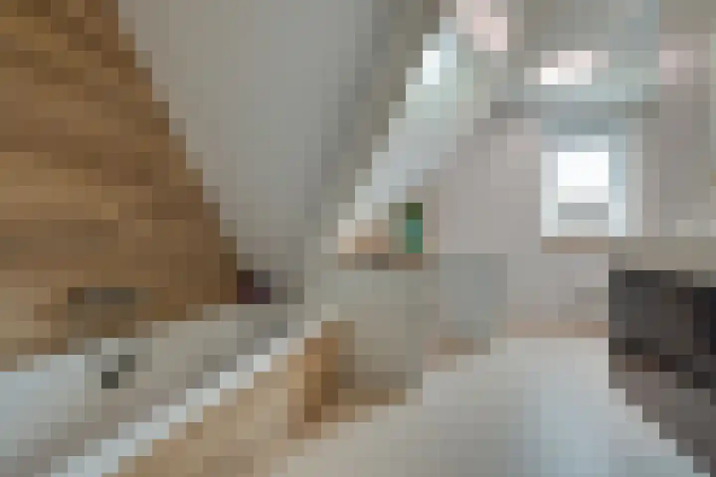 Longkruid 16 Leek thumbnail 56