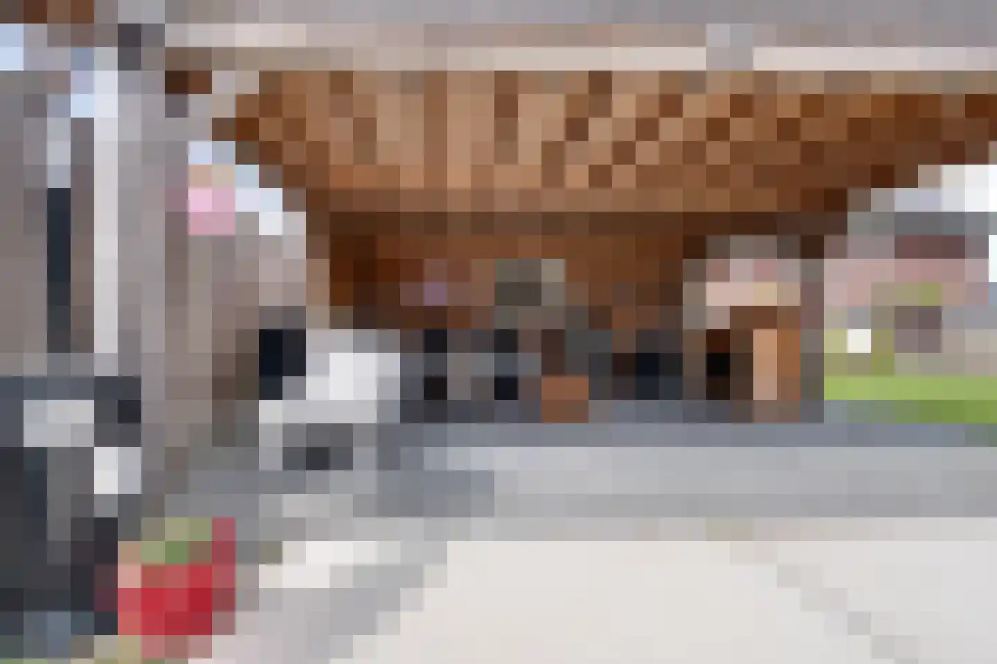 Longkruid 16 Leek thumbnail 62