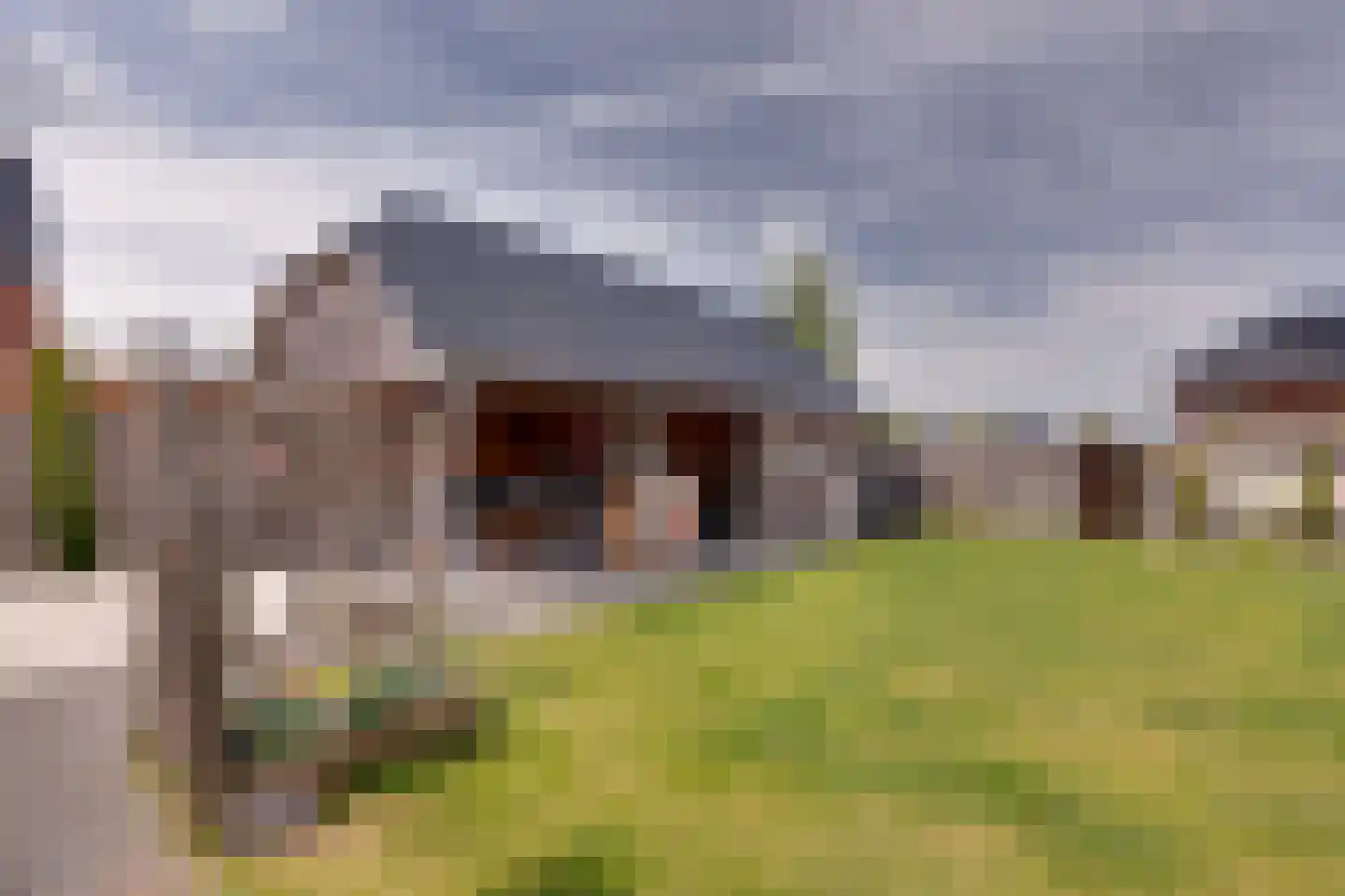 Longkruid 16 Leek thumbnail 63