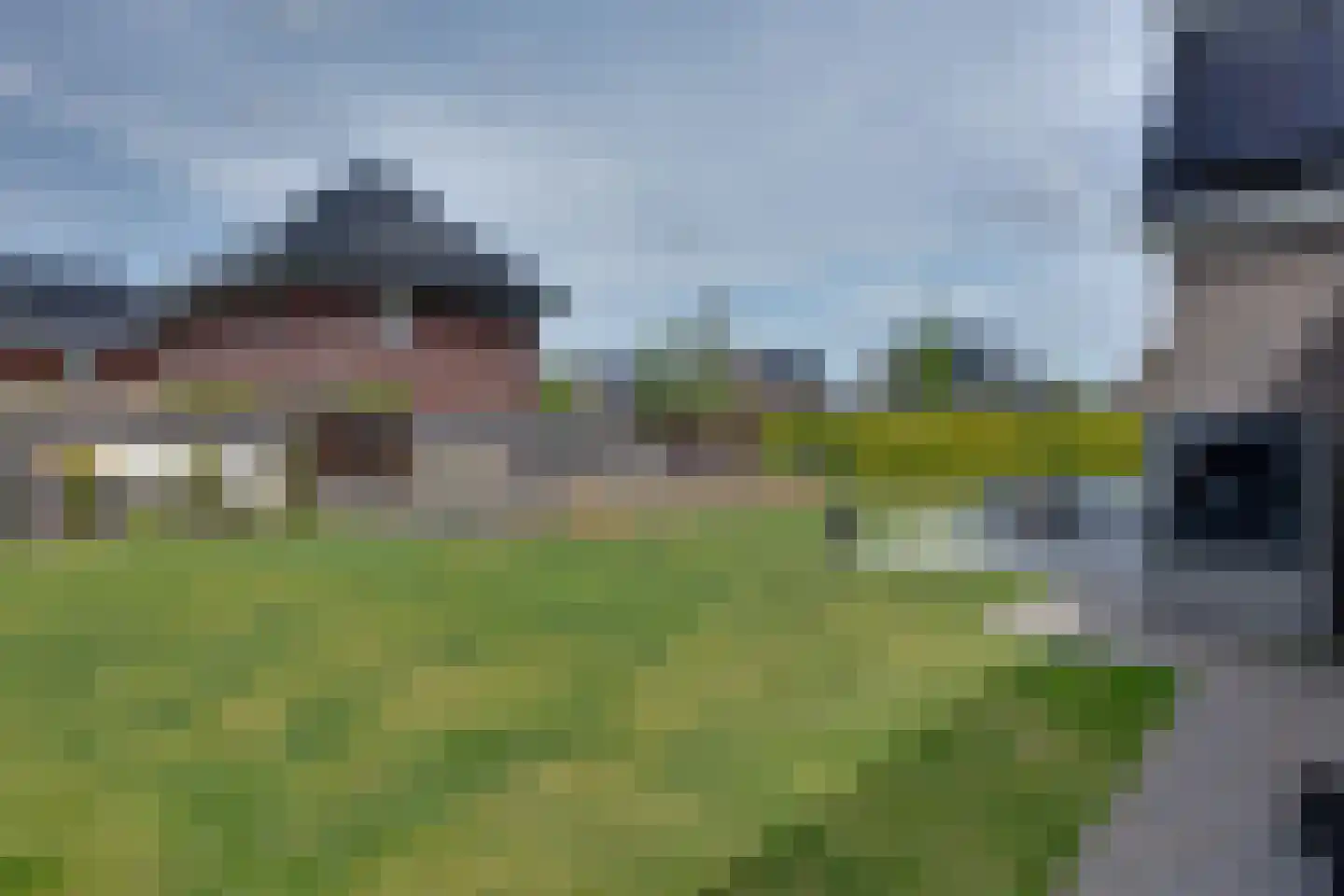 Longkruid 16 Leek thumbnail 64