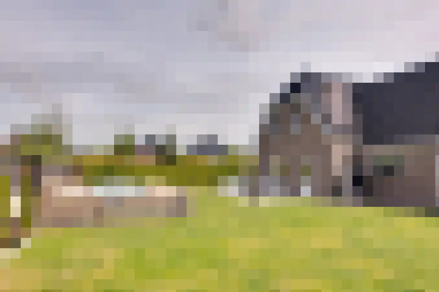 Longkruid 16 Leek thumbnail 65