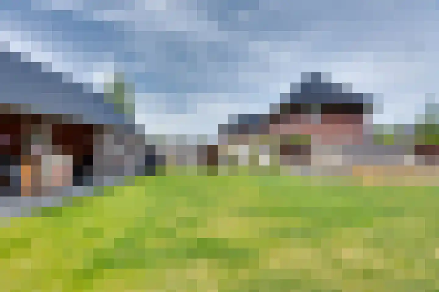Longkruid 16 Leek thumbnail 66