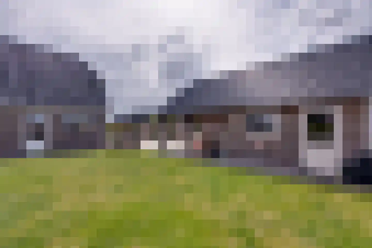 Longkruid 16 Leek thumbnail 67
