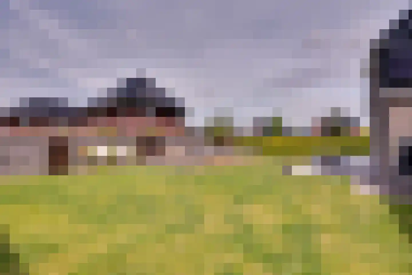 Longkruid 16 Leek thumbnail 69