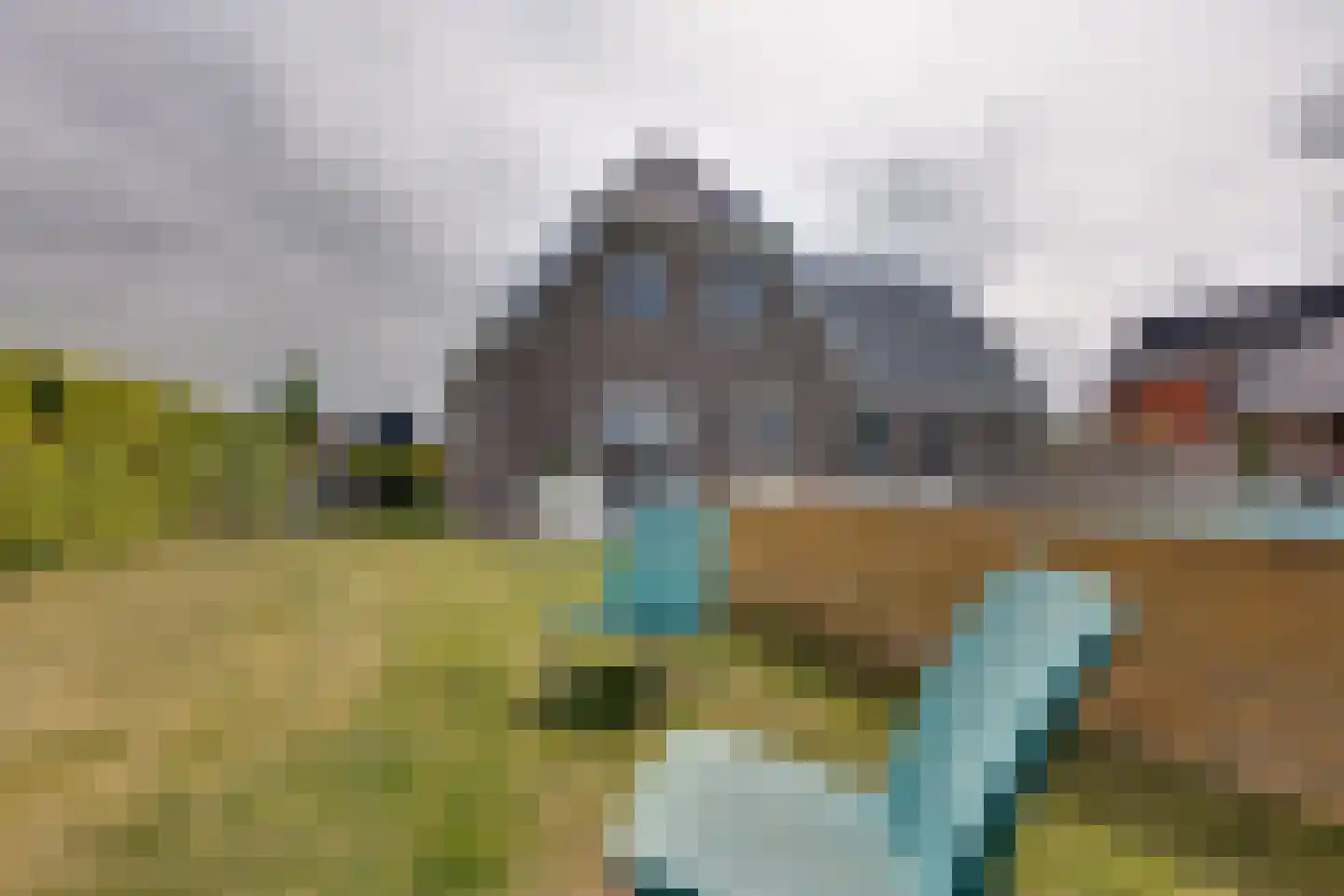 Longkruid 16 Leek thumbnail 71