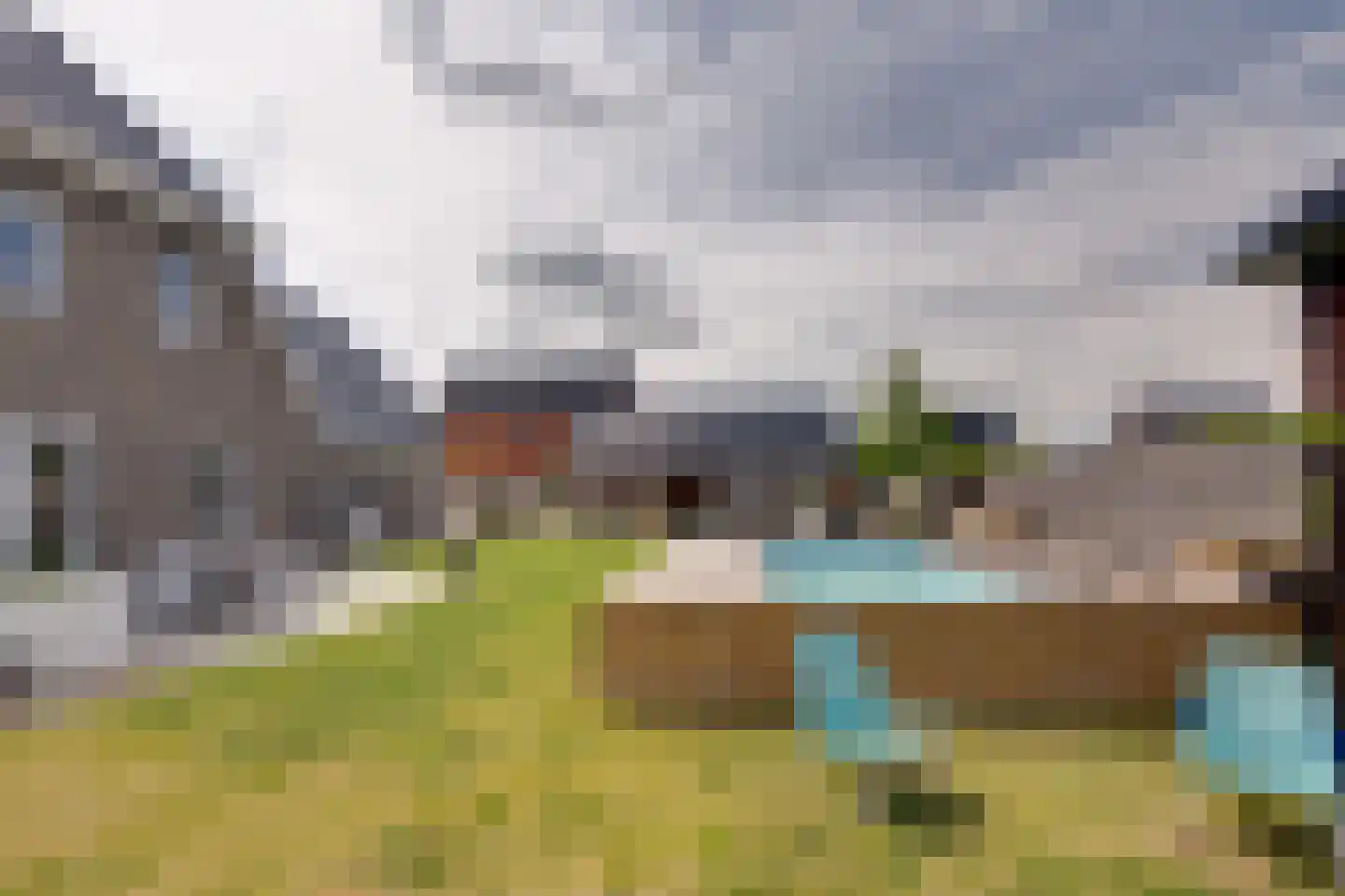 Longkruid 16 Leek thumbnail 72