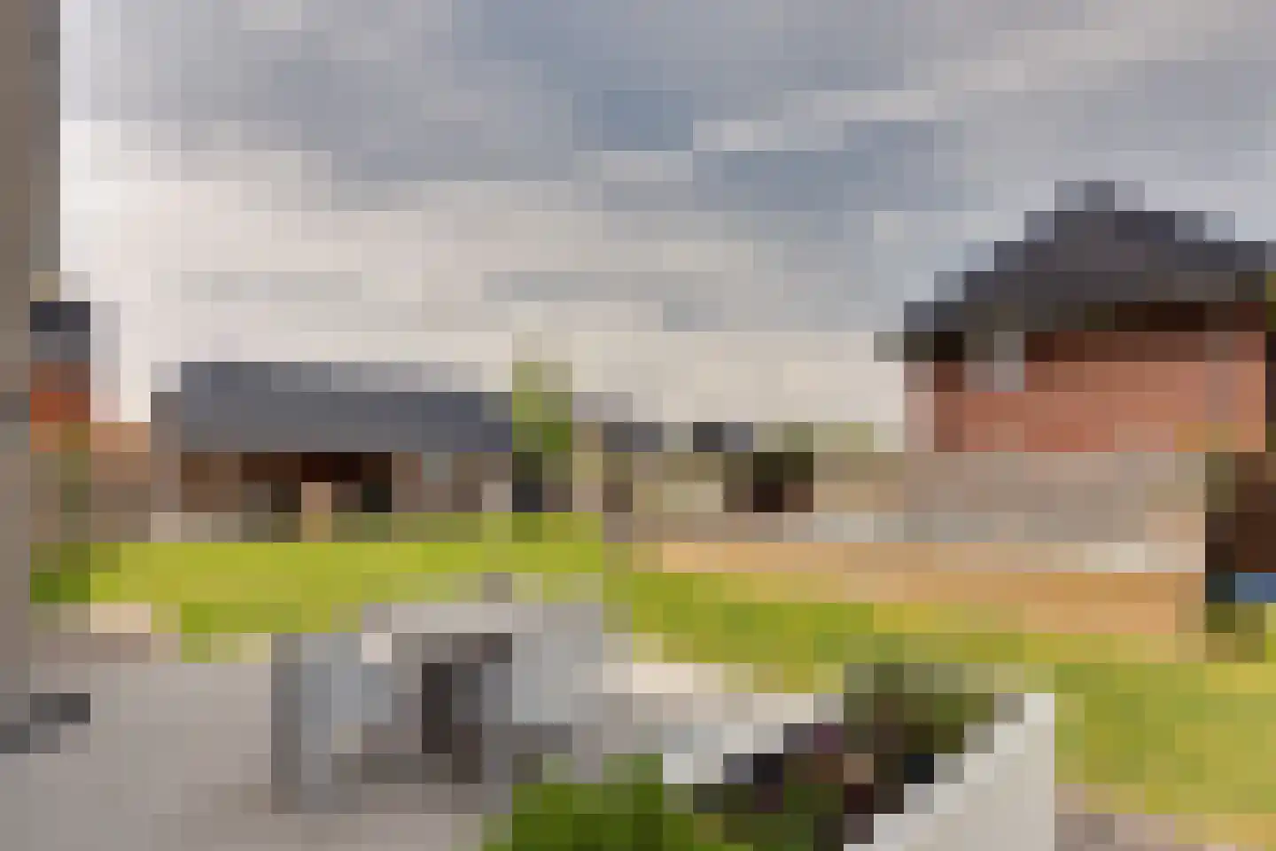 Longkruid 16 Leek thumbnail 73