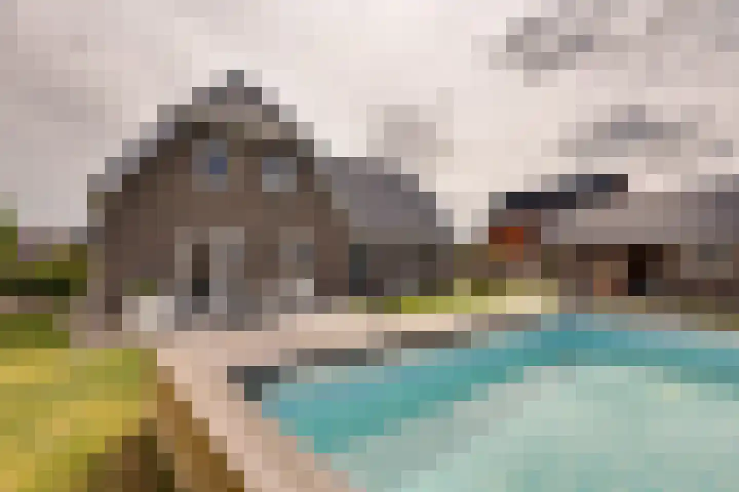 Longkruid 16 Leek thumbnail 74