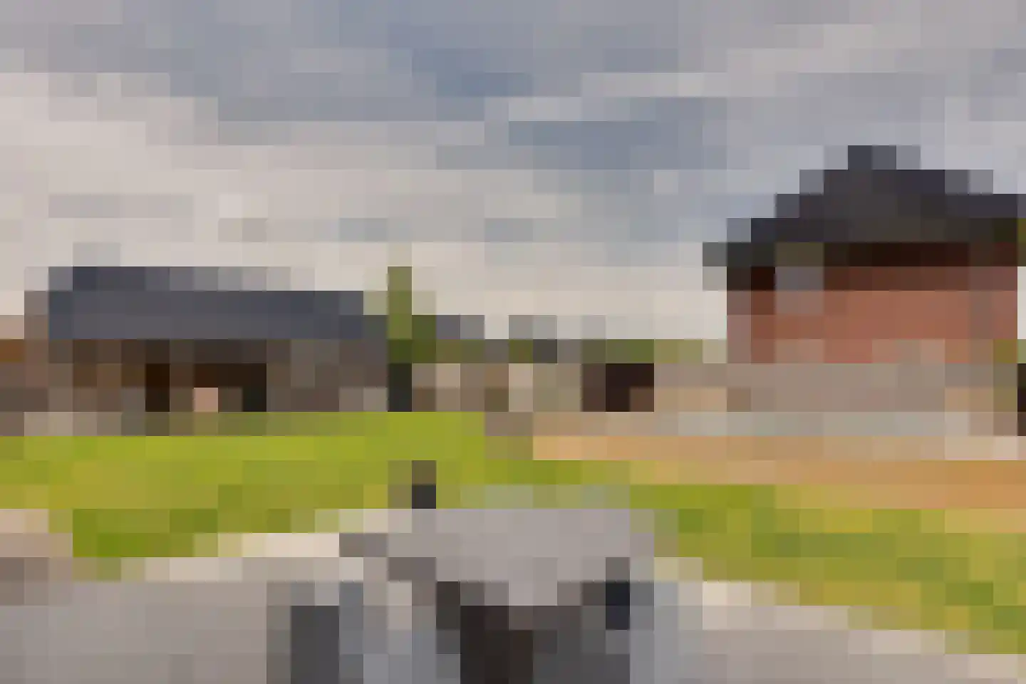 Longkruid 16 Leek thumbnail 75