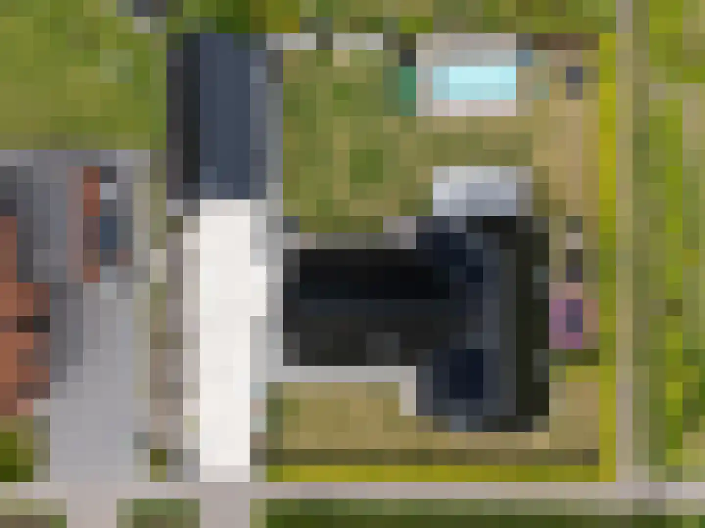 Longkruid 16 Leek thumbnail 76