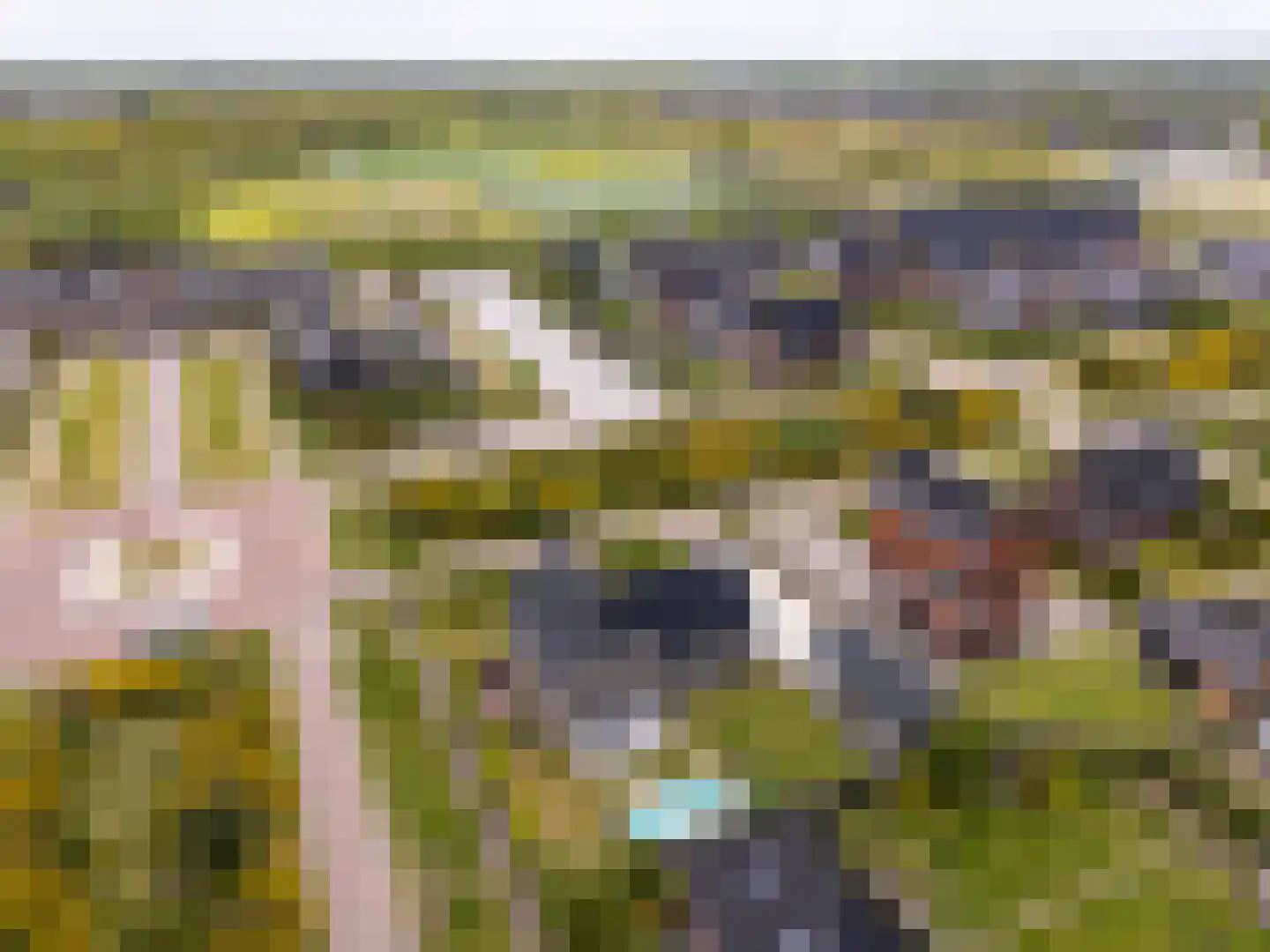 Longkruid 16 Leek thumbnail 78