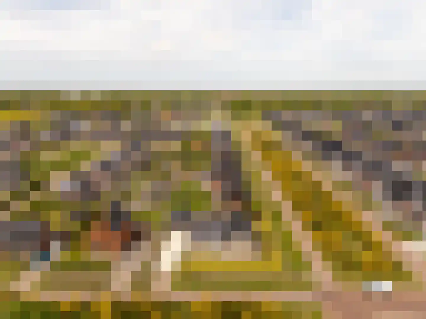 Longkruid 16 Leek thumbnail 80