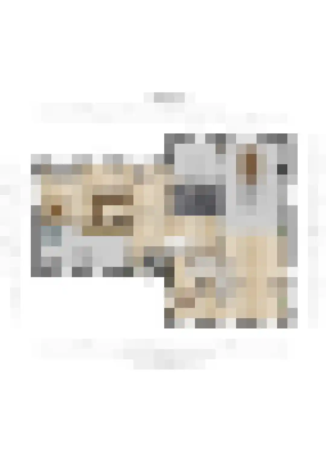 Longkruid 16 Leek thumbnail 81
