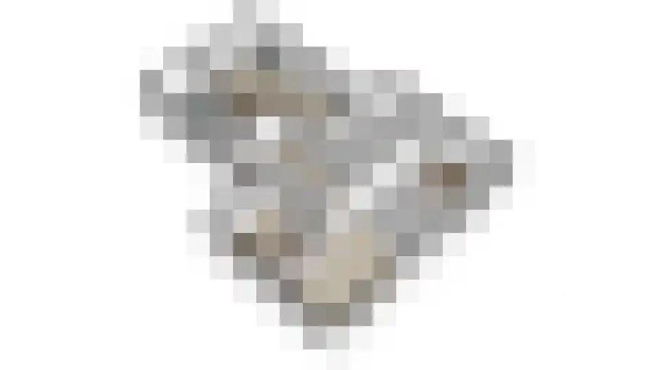 Longkruid 16 Leek thumbnail 83