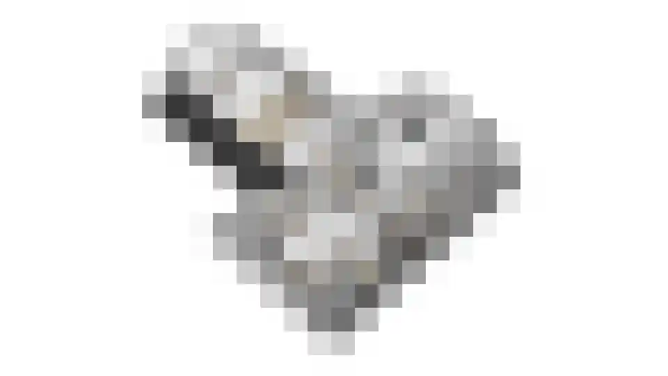 Longkruid 16 Leek thumbnail 86