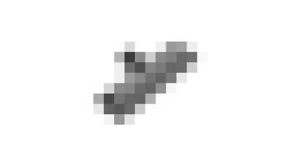 Longkruid 16 Leek thumbnail 95