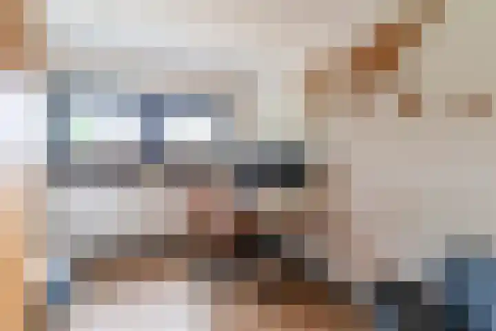 Longkruid 25 Veenendaal thumbnail 13