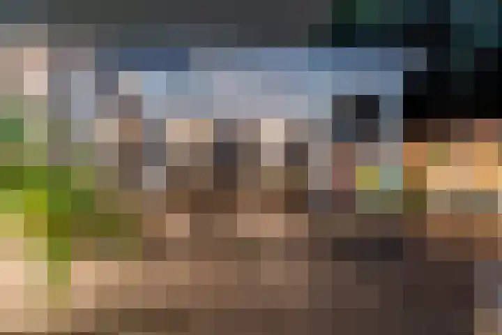 Longkruid 25 Veenendaal thumbnail 33