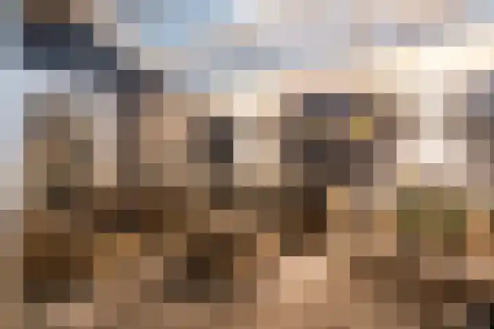 Longkruid 25 Veenendaal thumbnail 34