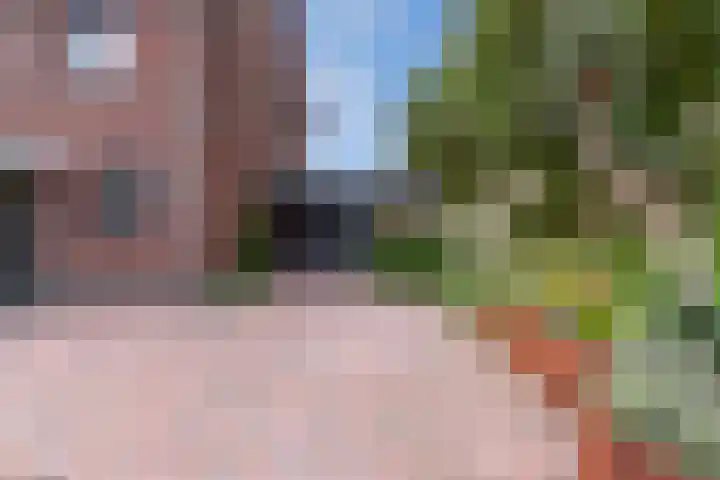 Longkruid 25 Veenendaal thumbnail 38