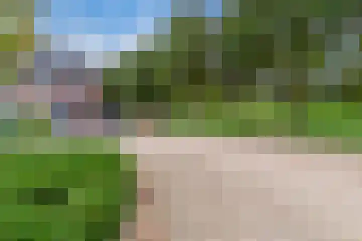 Longkruid 25 Veenendaal thumbnail 39